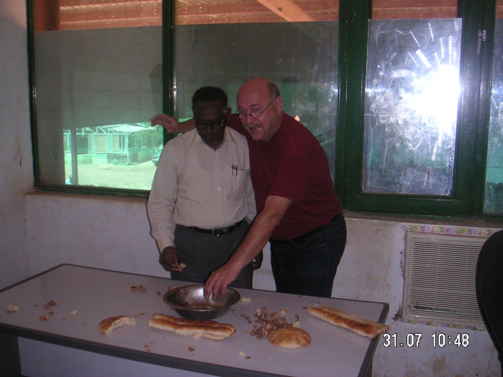 Baumaschinen, Bagger, Dozer, Gas pipelines, Köthen